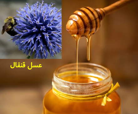 قیمت عسل طبیعی قنقال + فروش عمده